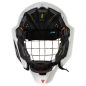 CCM Axis F9 Certified Cat Eye Senior Goalie Mask