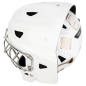 CCM Axis XF Non Certified Cat Eye Senior Goalie Mask