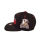 CCM Grand Rapids Griffins Flat Brim Бейсболка