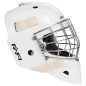 WARRIOR Ritual F1 Pro Certified Straight Bar Senior Goalie Mask